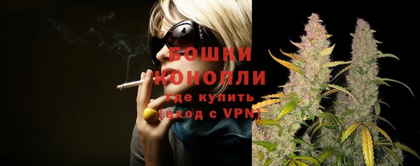 тгк Новозыбков