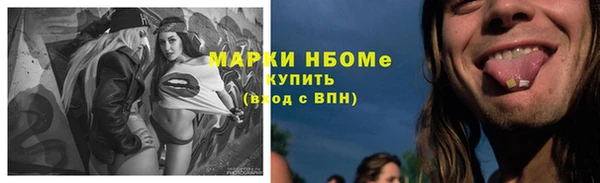 тгк Новокубанск