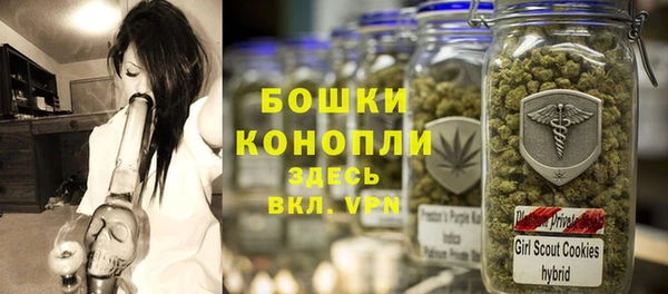 тгк Новозыбков