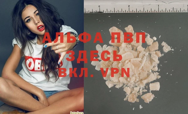 тгк Новозыбков