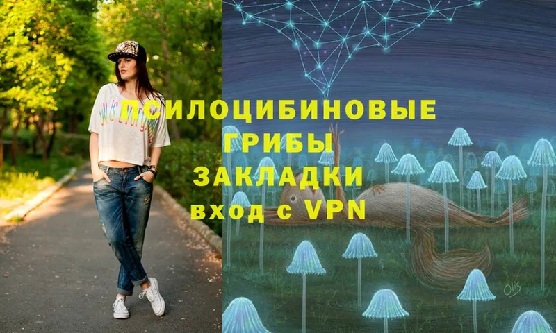 Псилоцибиновые грибы Magic Shrooms  Азов 