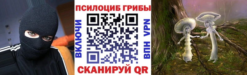 купить наркотики сайты  Азов  Псилоцибиновые грибы ЛСД 