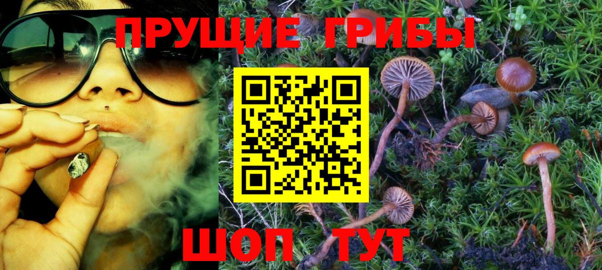 Псилоцибиновые грибы прущие грибы  Псилоцибиновые грибы Magic Shrooms  Азов  Вход с VPN 