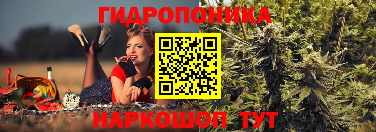 Бошки Шишки тримм Азов